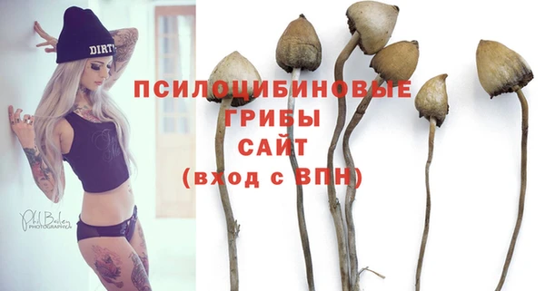 ешки Алзамай