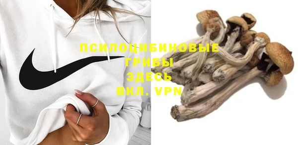 mix Алексин