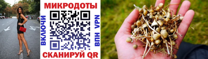 Галлюциногенные грибы мицелий  где купить наркоту  Игра 